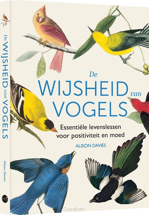 Wijsheid van vogels