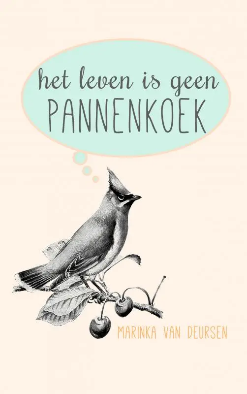 Het leven is geen pannenkoek