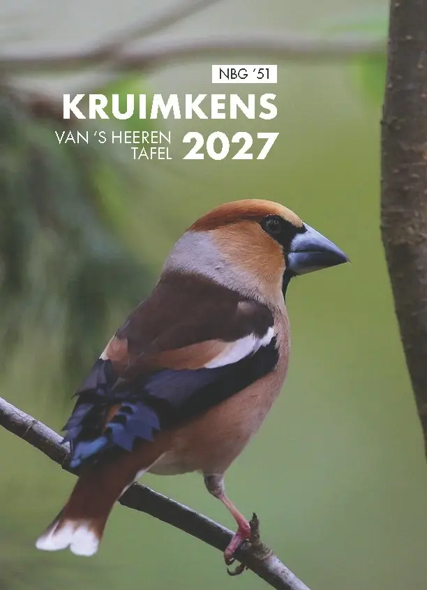 Kruimkens | 2027