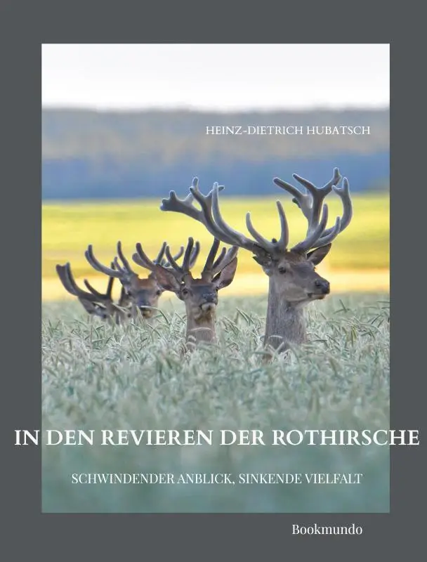 In den Revieren der Rothirsche