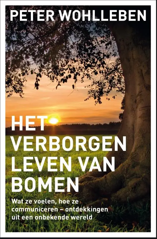 Het geheime leven van bomen