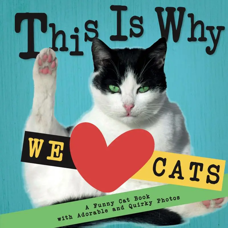 This Is Why We Love Cats