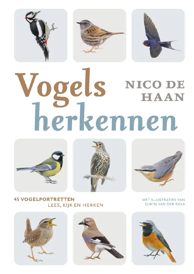 Vogels herkennen