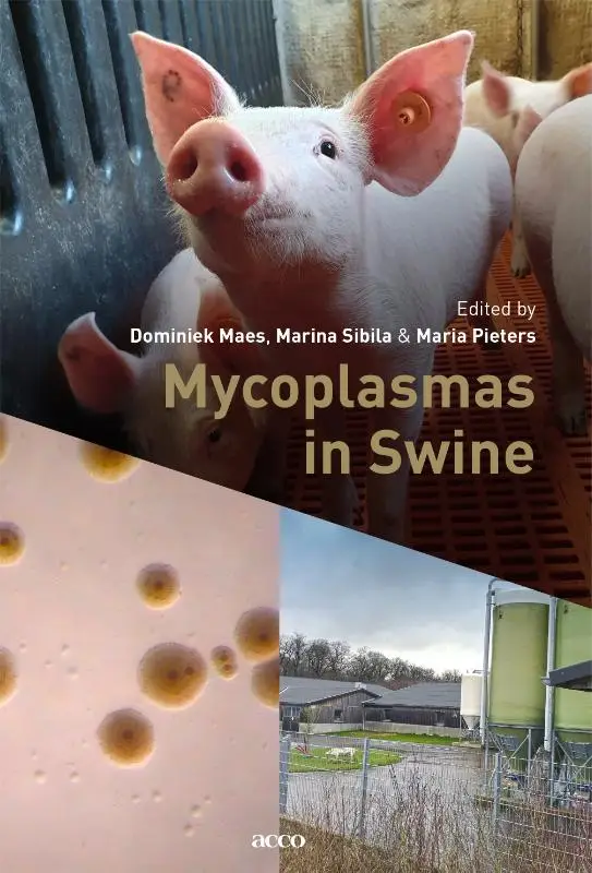 Mycoplasmas in Swine