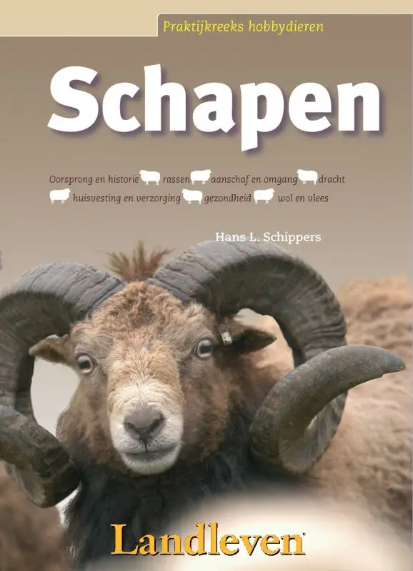 Schapen / druk 1