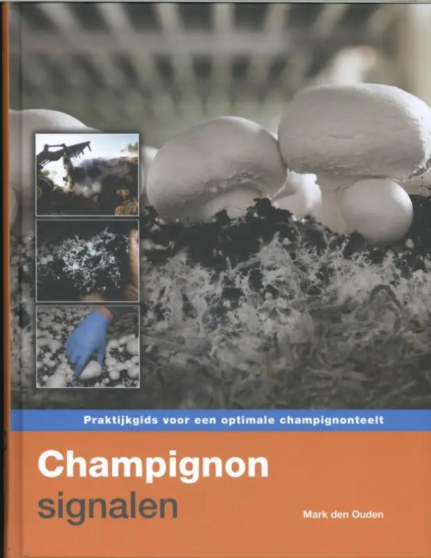 Champignonsignalen