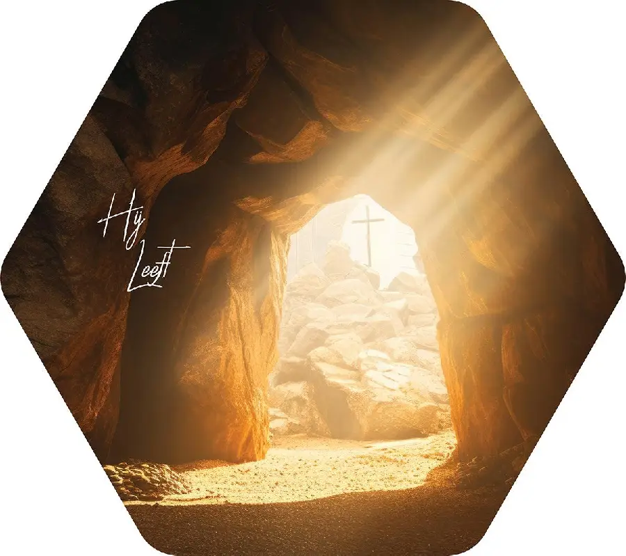 Honingraatbord Hij leeft