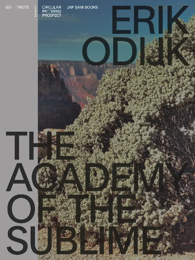 Erik Odijk. The Academy of the Sublime