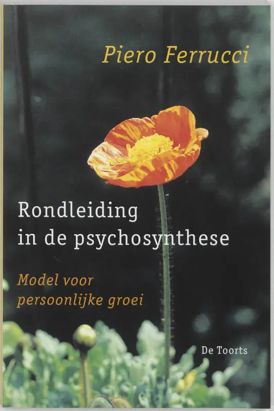 Rondleiding in de psychosynthese / druk
