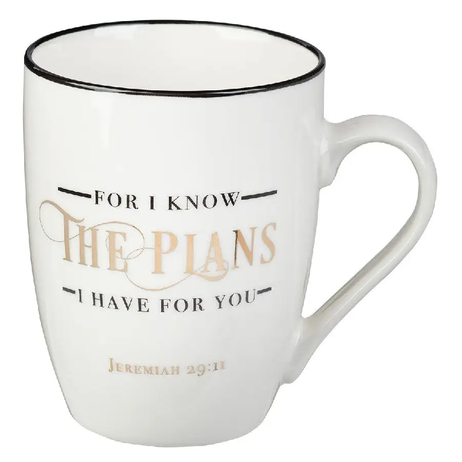 Mug for i know the plans