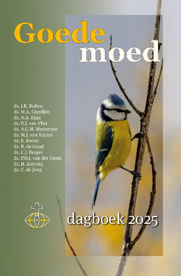 Goede moed 2025