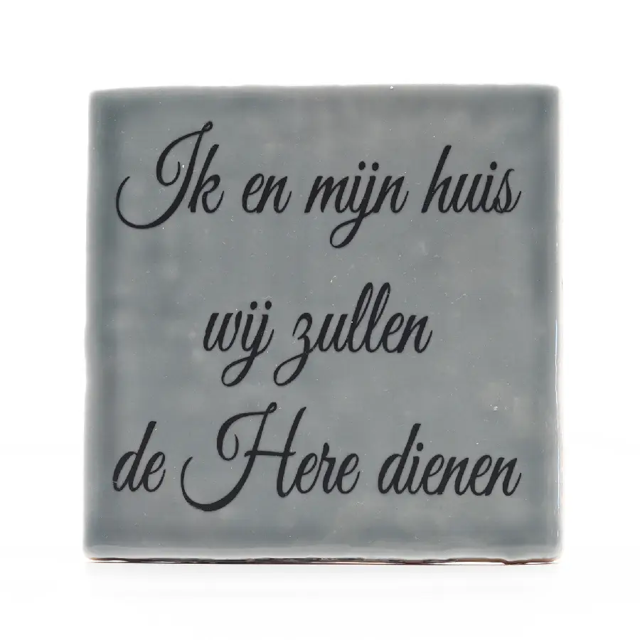 Ik en mijn huis grijs